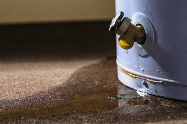 Best Water damage restoration services  in Washington, NC