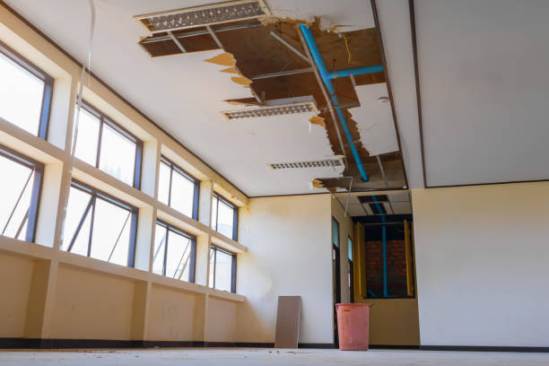 Best Residential water damage restoration  in Washington, NC