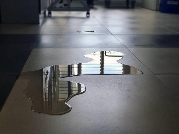 Best Water damage restoration near me  in Washington, NC