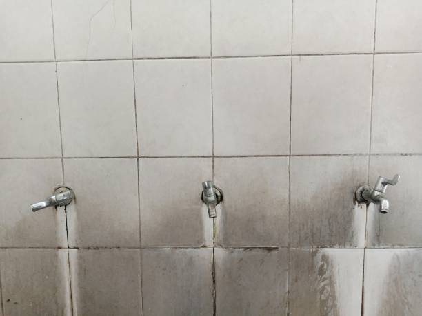 Best 24/7 water damage repair  in Washington, NC
