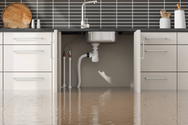 Best Residential water damage restoration  in Washington, NC