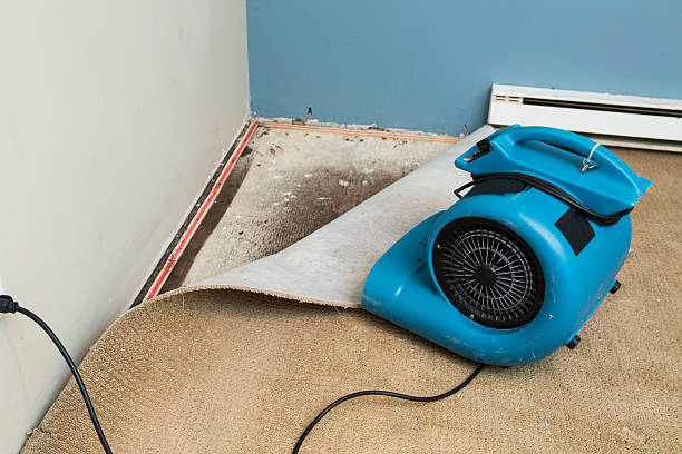 Best Sewage cleanup and water damage restoration  in Washington, NC